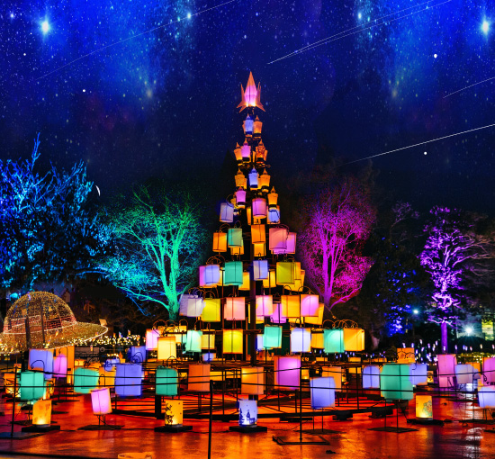 ランタンステージ写真